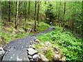 NX4568 : Cycle Trail in Kirroughtree Forest by Iain Thompson