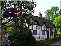 Cottage, Upper Farringdon