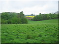 View through to Toddington Park