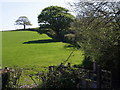 East from Broadtown Cross