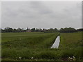 View from the River Derwent to the church