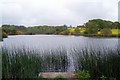 High Trewitley Lake