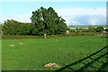 Stone circle, Day House Lane, Swindon