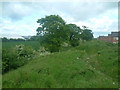 The industrial estate, the field and the housing estate.