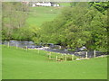 Urr Water  with  Walton Park Farm beyond