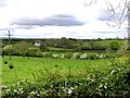 Ballynamullan Townland