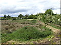 Rough ground north of Negargy Road