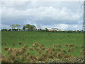 View towards South Lothian