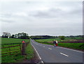 A981 Looking  south