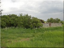 TF8427 : Overgrown and disused stockyard beside track from Broomsthorpe by Nigel Jones