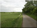 View towards woodland on Helhoughton Common along road from Broomsthorpe to Helhoughton