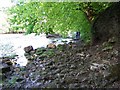 Footpath to Richmond alongside the River Swale