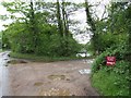 Pond beside entrance to Grove Farm, Hainford