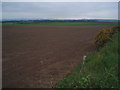 Fields on the way to Memus.