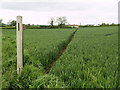 The Wilberfoss to High Catton Footpath near to Primrose Hill