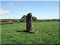 SM9527 : Standing stone near Broadmoor by Natasha Ceridwen de Chroustchoff
