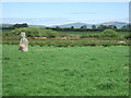 Broadmoor standing stone from west