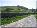 Brockhole Lane to Dog Meadow Allotments, Settle