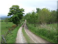 Lane to Gatehouse of Kebbaty