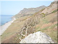 Coast South of Porth y Nant