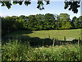 Field beside drive to Bovey House