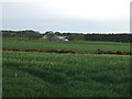 View towards House of Auchiries