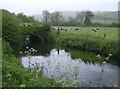 Bridge Across River Frome at Cruxton