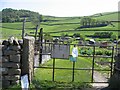 Dog Meadow Allotments, Brockhole Lane