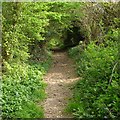  : Bridleway to Halstead by Jim Champion