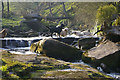 Enjoying the water at Hebble Hole, Colden Clough