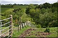 Valley near Trehill