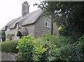 Thatched cottage in Melbury Osmond