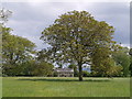 Heale House