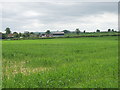 Abovemead Farm across wheat field, near Winslow