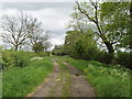 SP8126 : Bridleway with grass verges, near Swanbourne by David Hawgood