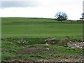 Farmland, Ascreavie