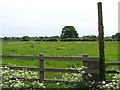 Footpath Near Hart Farm