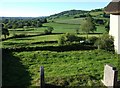 View from Loughwood Meeting House