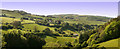 Panoramic view looking towards Leighland Chapel