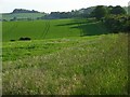 Farmland, Snoddington Down