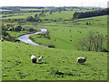 Rural landscape