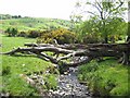 Tributary of the Moygannon River