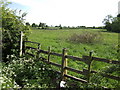 Stile and footpath near Foxholes