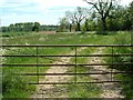 Gate and footpath