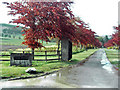 Driveway to Clova