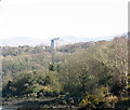 The wooded Gwynedd shore of Afon Menai