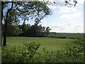 View from road between Eythrope and Stone 2