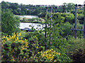 Fishing ponds next to Crown Farm Way