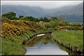 The Carrigs River near Dundrum