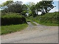 Lane to Tolcarne Farm